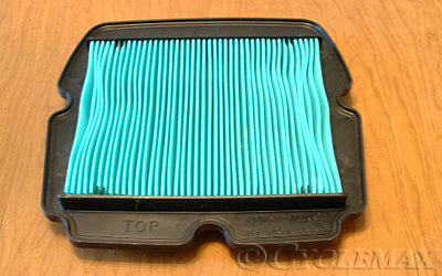 OEM Honda GL1800 Air Filter