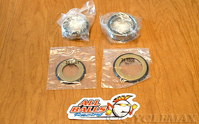 GL1800 Steering Head Bearings