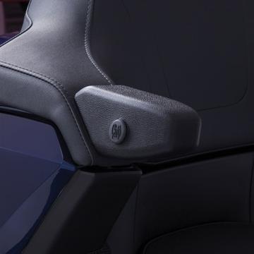 2018 Goldwing Passenger Armrests