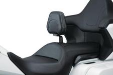 2018 Goldwing Omni Driver Backrest