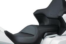 2018 Goldwing Omni Driver Backrest