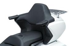 2018 Goldwing Omni Passenger Armrests