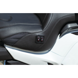 2018 Goldwing Mustang Seat