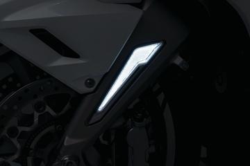 2018 Goldwing Omni LED Fork Inserts