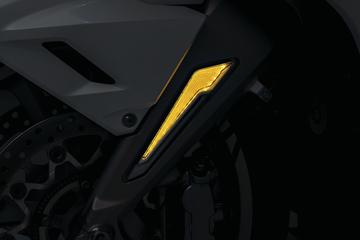 2018 Goldwing Omni LED Fork Inserts