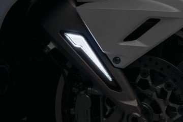 2018 Goldwing Omni LED Fork Inserts