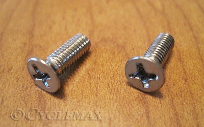 GL1800 Chrome Master Cylinder Cover Screws