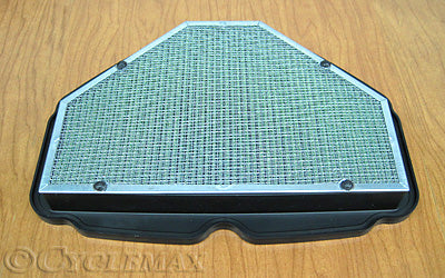 OEM Honda 2018 GL1800 Air Filter