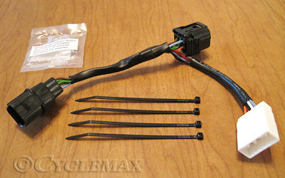 Goldwing Rear Accessory Harness