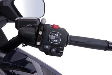 GL1800 Black Drink Holder with Perch Mount