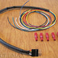 GL1800 Rollin' Eyes Wire to Vehicle Kit
