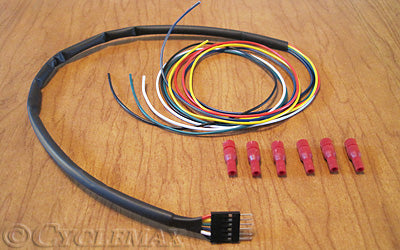 GL1800 Rollin' Eyes Wire to Vehicle Kit