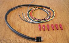 GL1800 Rollin' Eyes Wire to Vehicle Kit