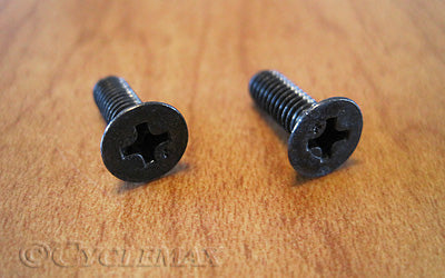 Master Cylinder Cover Screws - Qty 2